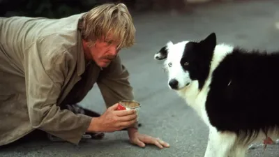 Beverly Hills Macerası izle