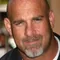 Bill Goldberg filmleri