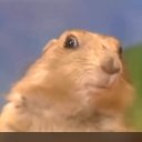 The_Author adlı kullanıcı